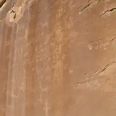A large sandstone rock face features ancient petroglyphs etched into its surface.