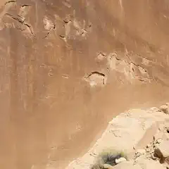 A large sandstone cliff face features carved petroglyphs depicting animals and human figures.