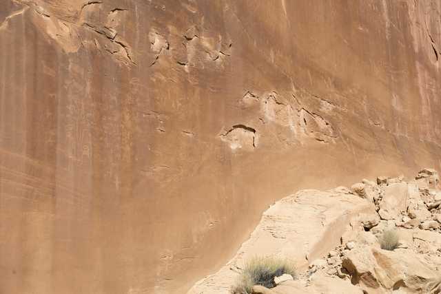 A large sandstone cliff face features carved petroglyphs depicting animals and human figures.
