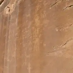 A large sandstone rock face features ancient petroglyphs etched into its surface.