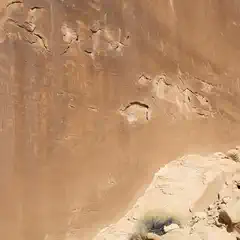 A large sandstone cliff face features carved petroglyphs depicting animals and human figures.