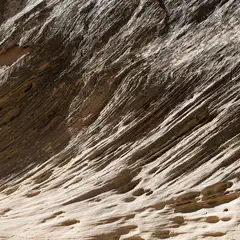 A rock face features a unique texture characterized by numerous parallel lines and holes.