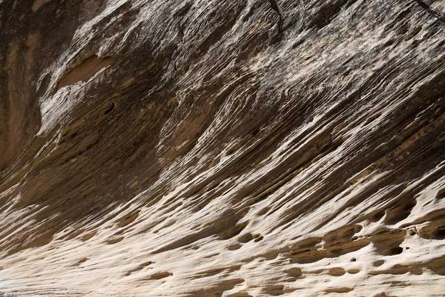 A rock face features a unique texture characterized by numerous parallel lines and holes.