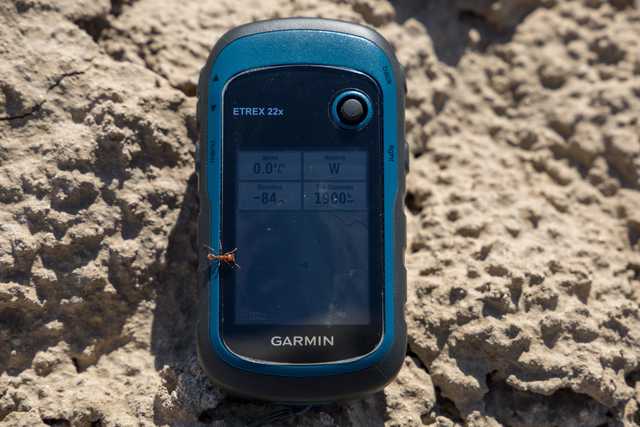 A Garmin Etrex 22x handheld GPS device is displayed against a sandy background, with an ant on its screen.