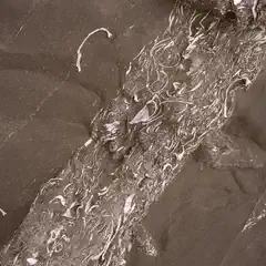 Worn sandstone with an exposed band of sediment containing numerous seashells.