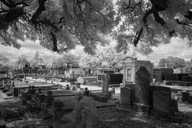 An old cemetery contains numerous weathered headstones and mausoleums surrounded by mature trees.