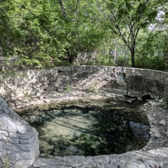 An old, circular stone structure enclosing a shallow pool of water with algae and surrounded by trees.