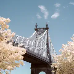 A steel suspension bridge with ornate towers stands between trees under a blue sky.