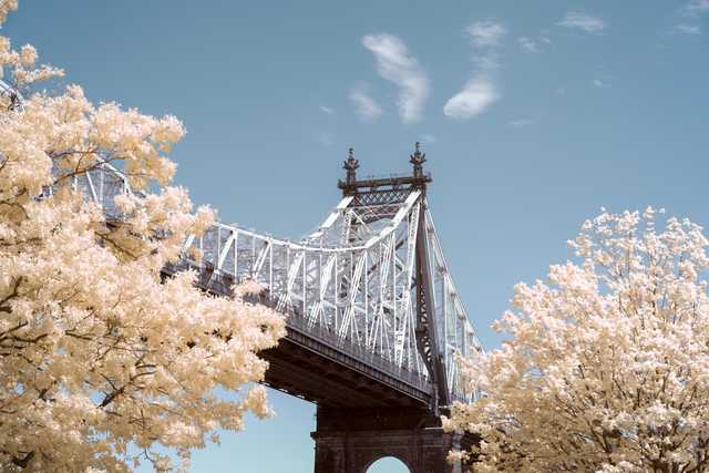 A steel suspension bridge with ornate towers stands between trees under a blue sky.