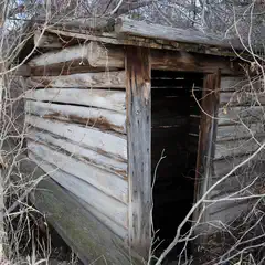 An old, weathered wooden outhouse with a missing door, surrounded by bare trees and shrubbery.