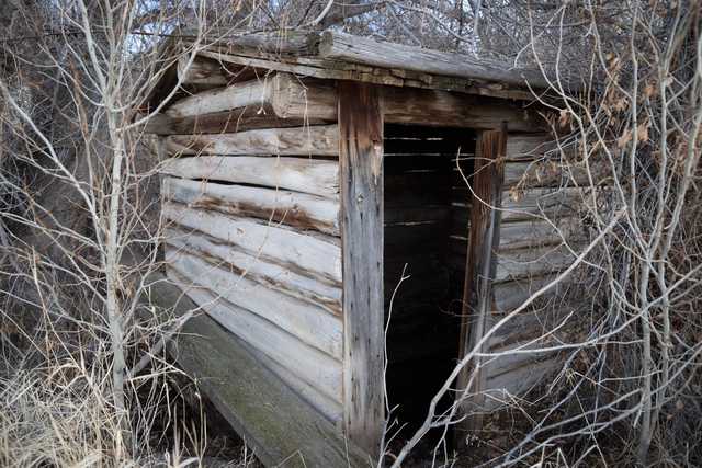 An old, weathered wooden outhouse with a missing door, surrounded by bare trees and shrubbery.