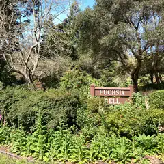 A sign reading Fuchsia Dell is surrounded by lush greenery and trees.