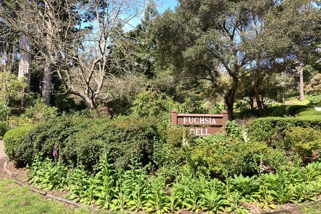 A sign reading Fuchsia Dell is surrounded by lush greenery and trees.