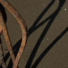 A collection of rusted metal rods casts long shadows on dark sand.