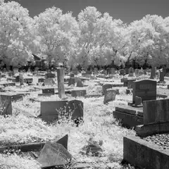 An old cemetery contains many weathered headstones and grave markers surrounded by overgrown grass.