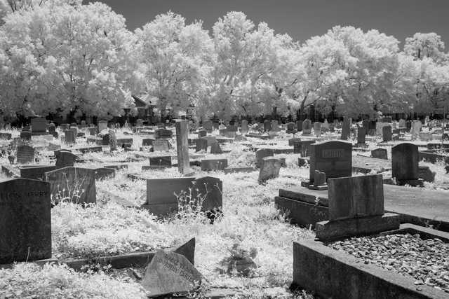 An old cemetery contains many weathered headstones and grave markers surrounded by overgrown grass.