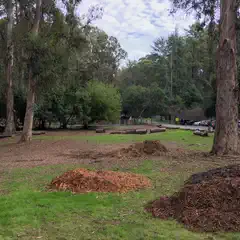 A pile of wood chips next to a grassy area with trees and cars in the background.