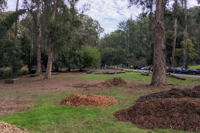 A pile of wood chips next to a grassy area with trees and cars in the background.