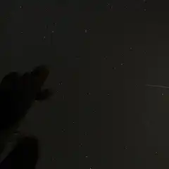 A cactus silhouetted against a night sky filled with stars and a meteor streaking across.