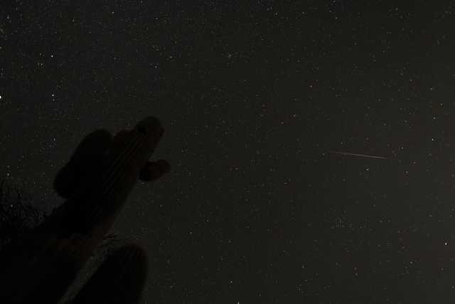 A cactus silhouetted against a night sky filled with stars and a meteor streaking across.