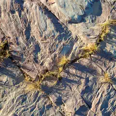 A rock formation features small tufts of yellow grass growing in its cracks.