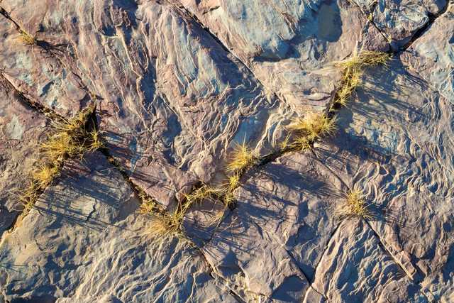 A rock formation features small tufts of yellow grass growing in its cracks.
