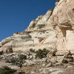 A rocky cliff face with layers of sediment and sparse vegetation, under a clear blue sky.
