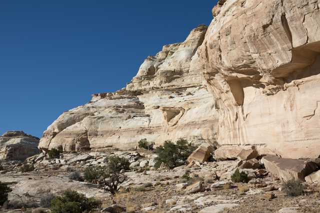 A rocky cliff face with layers of sediment and sparse vegetation, under a clear blue sky.