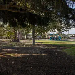 A park with large trees casting shadows over a mulched area, with a grassy field and a blue playground structure visible in the background.