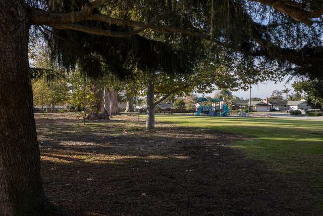 A park with large trees casting shadows over a mulched area, with a grassy field and a blue playground structure visible in the background.