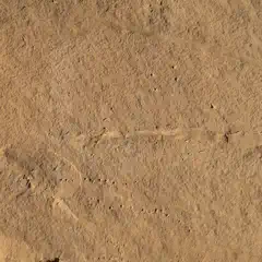 A brown sandy surface with small bumps and ridges.