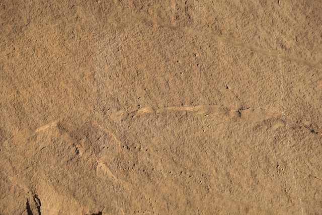 A brown sandy surface with small bumps and ridges.