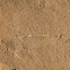 A brown sandy surface with small bumps and ridges.