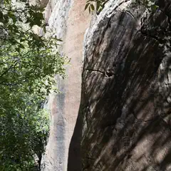 A rocky cliff face with trees and sunlight casting shadows on its surface.