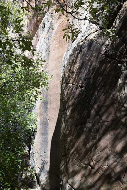 A rocky cliff face with trees and sunlight casting shadows on its surface.
