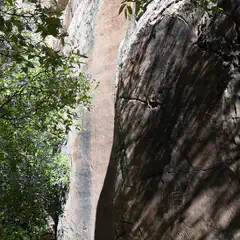 A rocky cliff face with trees and sunlight casting shadows on its surface.