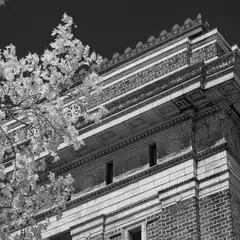 A corner of a brick and stone building with ornate cornices and decorative panels is framed by bright, leafy branches against a dark sky.