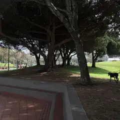 A paved walkway borders a grassy hill with several trees and a person walking a dog.