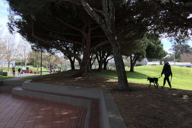 A paved walkway borders a grassy hill with several trees and a person walking a dog.
