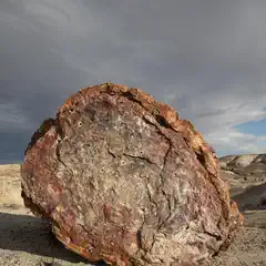 A large, weathered petrified log rests on a barren landscape under a partly cloudy sky.