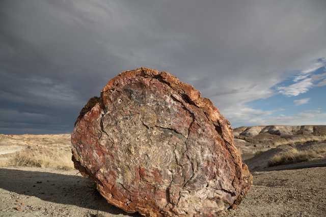 A large, weathered petrified log rests on a barren landscape under a partly cloudy sky.