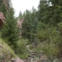 A rocky canyon with evergreen trees and a small waterfall cascading down the cliff face.