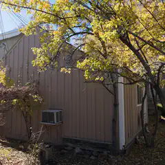 A small brown building with white trim is surrounded by trees with yellow leaves.