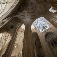 A cathedral interior with tall arched columns, pointed vaults, and stained glass windows allowing natural light to filter through.