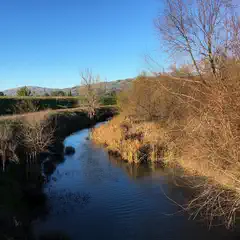 A small stream runs through a grassy area with trees and shrubs on either side.
