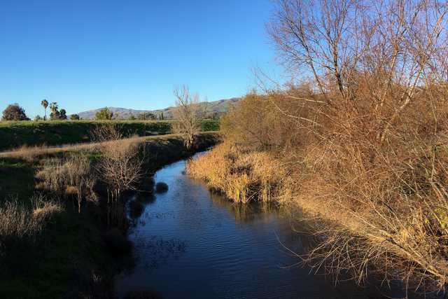A small stream runs through a grassy area with trees and shrubs on either side.