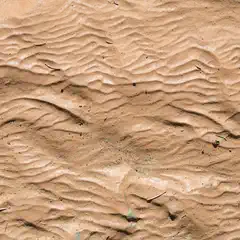 A textured surface of damp sand exhibits repetitive ripple-like curves and scattered debris.