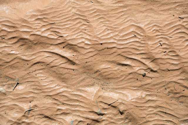 A textured surface of damp sand exhibits repetitive ripple-like curves and scattered debris.