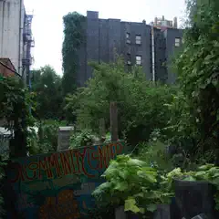A narrow alleyway between buildings, overgrown with vines and plants, leading to a graffiti-covered wall with colorful text reading "Community Center".