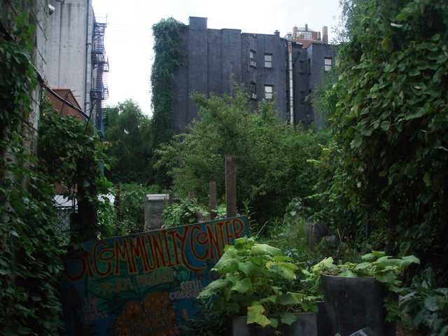 A narrow alleyway between buildings, overgrown with vines and plants, leading to a graffiti-covered wall with colorful text reading "Community Center".